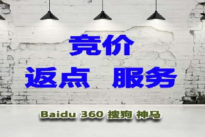 SEO策略在电商平台的成功应用案例